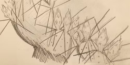 Plein Air Sketching Class
