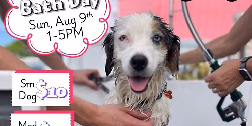 Charity Bath Day - Dog Bar Sarasota
