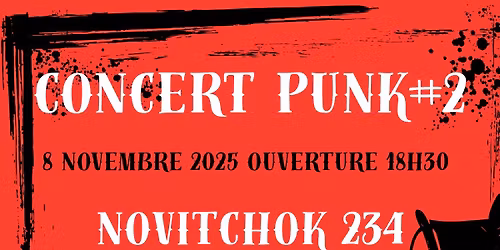 CONCERT PUNK #2