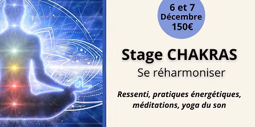 Formation Chakras et Energies