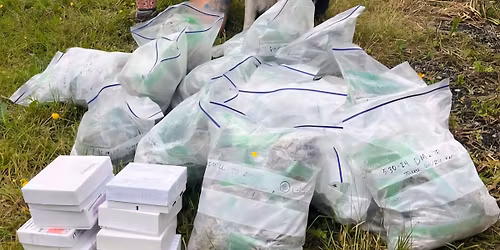 Level Up Your Detection: Smooth Searches From Start to Finish With Kayla Fratt