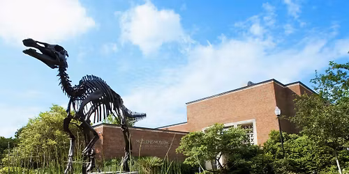 Visit the McClung Museum