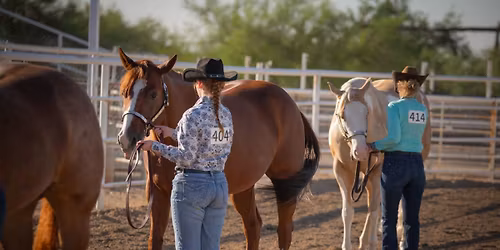 Scottsdale Saddle Club Horse Show
