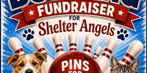 Pins for Paws