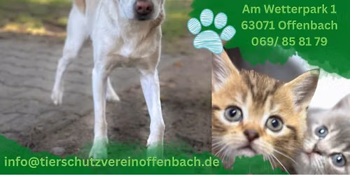 Tierheimfest 2026