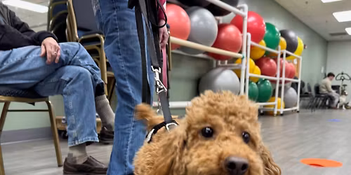 Brown County K9 Obedience Class