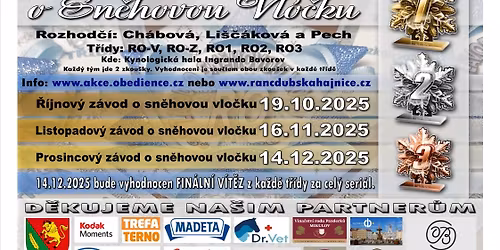 Prosincov\u00fd z\u00e1vod o SN\u011aHOVOU VLO\u010cKU - RALLY OBEDIENCE