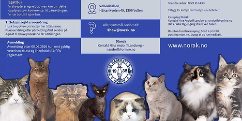 NORAK\u2019s 176. & 177. internasjonale katteutstilling 