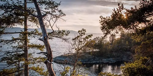 Shining star Christmas Baazar