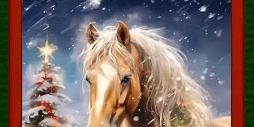 Sun Valley Arabians 25th Annual CHRISTMAS CLASSIC HORSE SHOW