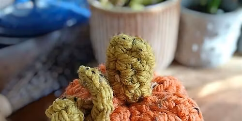 Beginner's Crochet Pumpkins Workshop