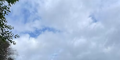 6th Sense Rhythms June: Dance, Move & Release at The Lavender Project