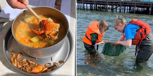 Workshop: Friskfanget rejer og krabbesuppe - Havets spisekammer i b\u00f8rneh\u00f8jde