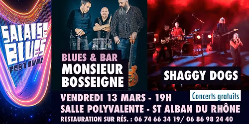 Blues and Bar : Monsieur Bosseigne et Shaggy Dogs