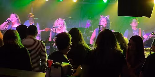 The Cougars at Anduzzi's Howard