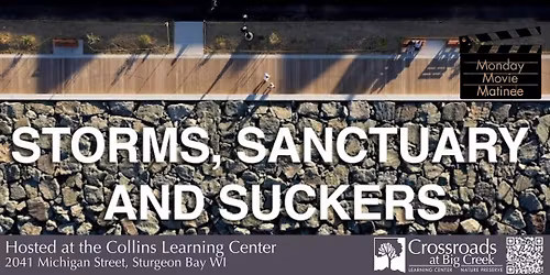 Monday Movie Matinee: "Storms, Sanctuary, and Suckers"