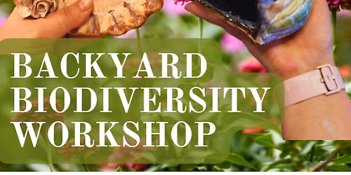 Clay Class: Backyard Biodiversity Workshop