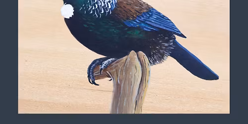 Birds on Plywood with Joe McMenamin