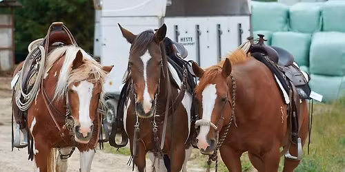 NWR Ranch Horse Days 6-7. Juni