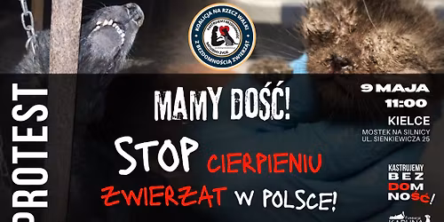 \ud83d\udce2 PROTEST - Kielce | MAMY DO\u015a\u0106. STOP CIERPIENIU ZWIERZ\u0104T W POLSCE!