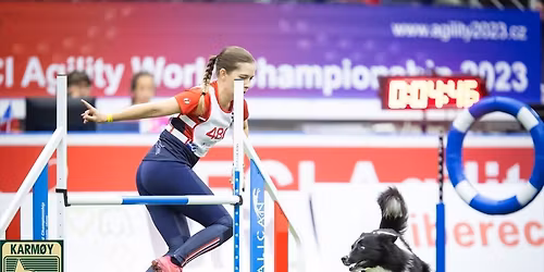 Agilitykurs med Isabelle Simonsen hos Karm\u00f8y Hundeklubb