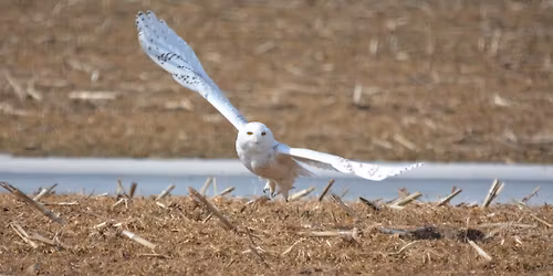 Field Trip - Lake Michigan Lakefront 