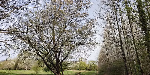 Keddi Kutyagol\u00f3 teljesitm\u00e9nyt\u00fara 10 km \/ 20 km \/ 10+20 km