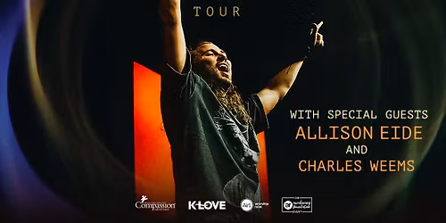 Allison at Lowbrow Palace