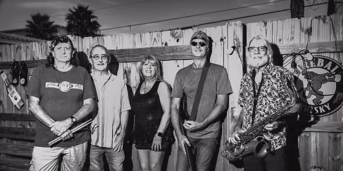 The Johncats
