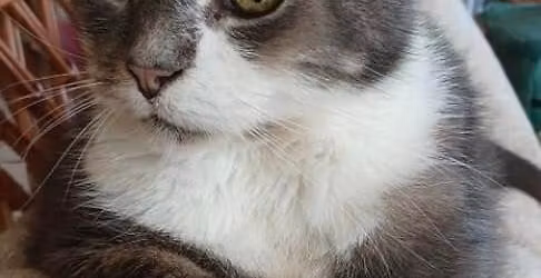 Fundraiser - Save the Date - details to follow