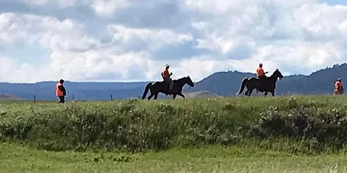 June Double Double hunt tests