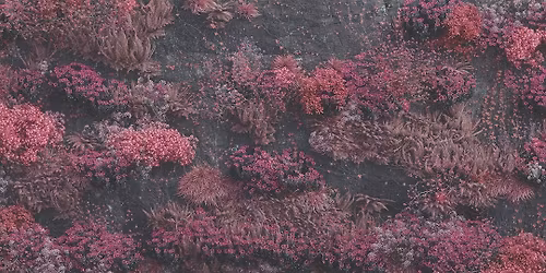 Sleep Token Fantr\u00e4ff Stockholm 