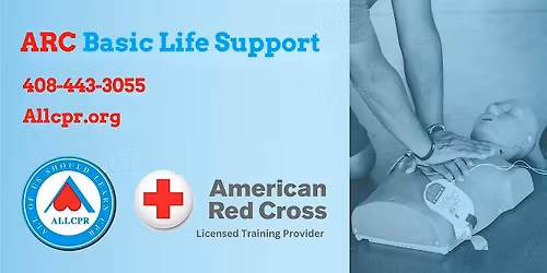 Red Cross Basic Life Support class in Wilmington