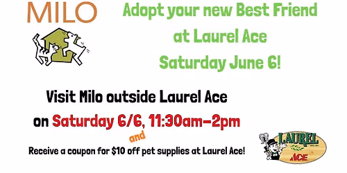 Dog Adoption Event with MILO