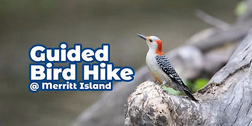 Guided Bird Hike at Merritt Island \u2014 July 2026