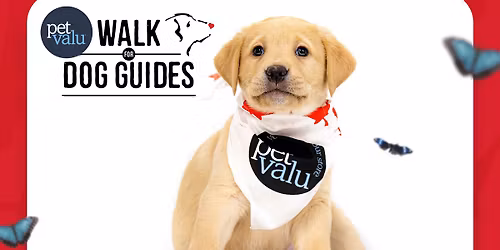 Kitchener Waterloo Walk for Dog Guides 