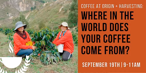 Where in the World Does Your Coffee Come From?
