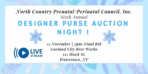 6th Annual Designer Purse Auction Night 1