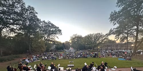 Orchestra on the Hill
