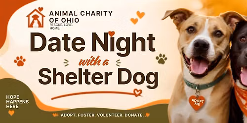 Date Nigth with a Shelter Dog