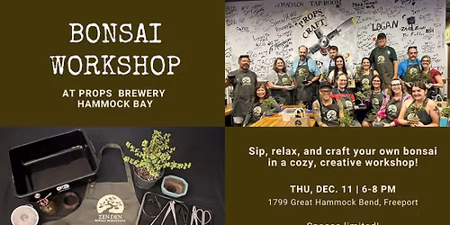 Zen Den Bonsai Workshop at Props Brewery Hammock Bay
