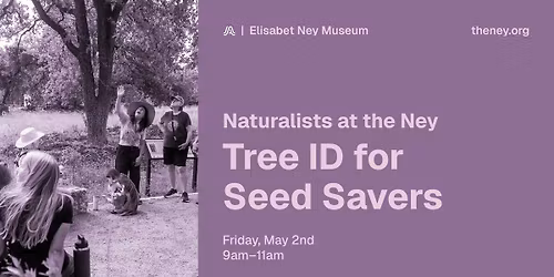 Naturalists at the Ney: Tree ID for Seed Savers