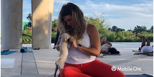 Puppy Noses & Yoga Poses with SNIPSA