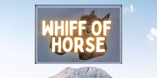 Whiff @ The White Horse