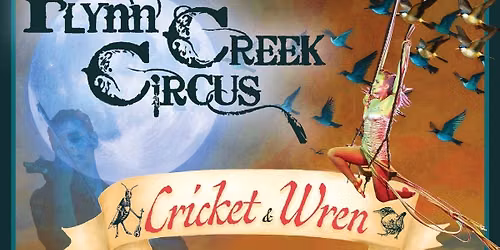 The Cricket and the Wren in Calistoga