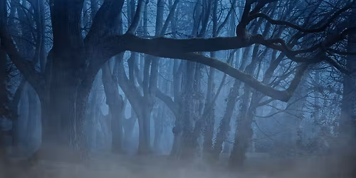 Teen Mystery Program