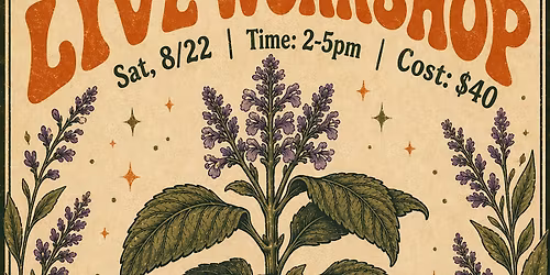 Salvia Divinorum Workshop