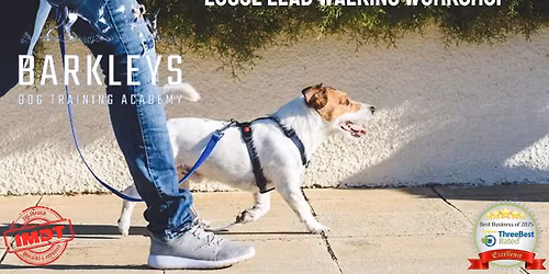 Loose Lead Walking Workshop