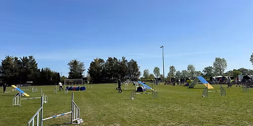 Concours AGILITY \/ HOOPERS  - Dardaillon 
