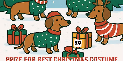 Christmas Sausage Dog Party